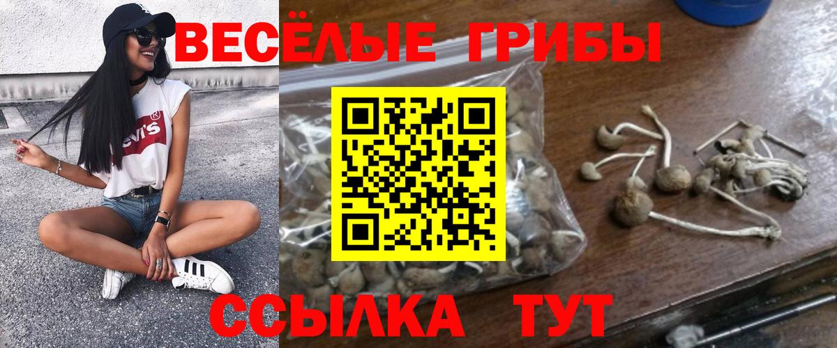 Псилоцибиновые грибы прущие грибы  Вход с VPN  где продают наркотики  Елец  Псилоцибиновые грибы MAGIC MUSHROOMS 